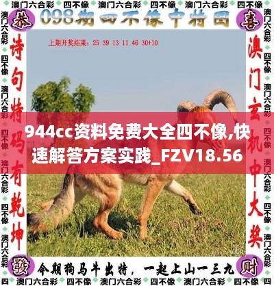 944cc资料免费大全四不像,快速解答方案实践_FZV18.56