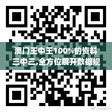 澳门王中王100%的资料三中三,全方位展开数据规划_IZR18.72
