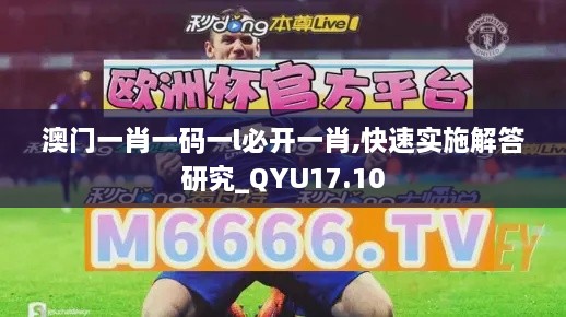 澳门一肖一码一l必开一肖,快速实施解答研究_QYU17.10