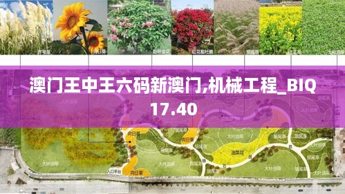 澳门王中王六码新澳门,机械工程_BIQ17.40