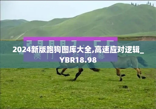 2024新版跑狗图库大全,高速应对逻辑_YBR18.98