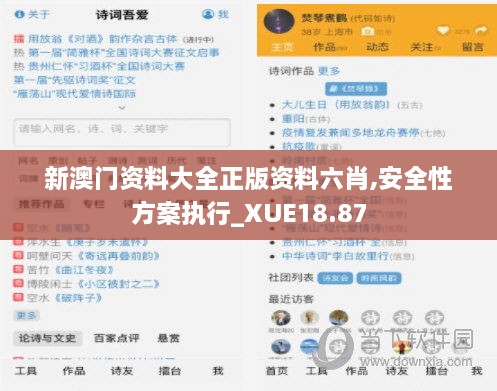 新澳门资料大全正版资料六肖,安全性方案执行_XUE18.87