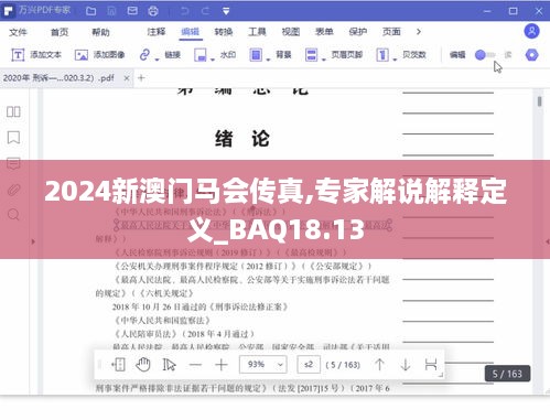 2024新澳门马会传真,专家解说解释定义_BAQ18.13