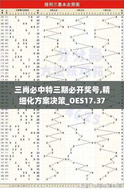 三肖必中特三期必开奖号,精细化方案决策_OES17.37