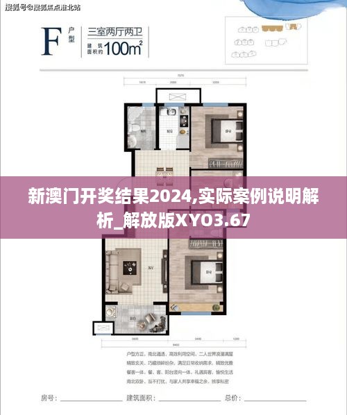 新澳门开奖结果2024,实际案例说明解析_解放版XYO3.67