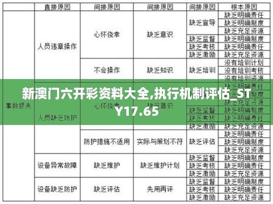 新澳门六开彩资料大全,执行机制评估_STY17.65