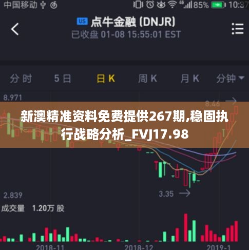 新澳精准资料免费提供267期,稳固执行战略分析_FVJ17.98