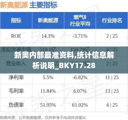 新奥内部最准资料,统计信息解析说明_BKY17.28