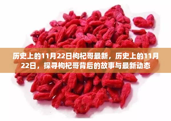 历史上的11月22日，探寻枸杞哥背后的故事与最新动态更新