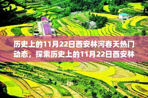 历史上的11月22日西安林河春天热门动态揭秘，历史变迁与体验活动指南