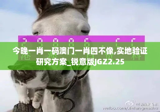 今晚一肖一码澳门一肖四不像,实地验证研究方案_锐意版JGZ2.25