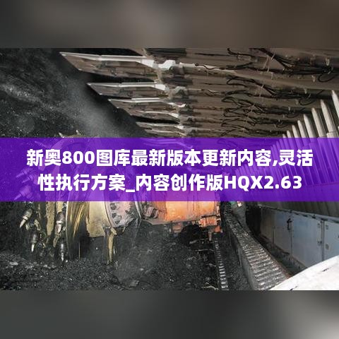 新奥800图库最新版本更新内容,灵活性执行方案_内容创作版HQX2.63