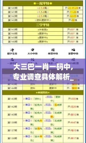 大三巴一肖一码中,专业调查具体解析_外观版UXX2.46