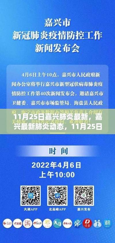 11月25日嘉兴肺炎最新动态及深度解析，要点详解
