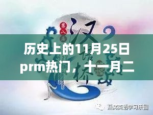 十一月二十五日，暖阳下的友情与温馨日常