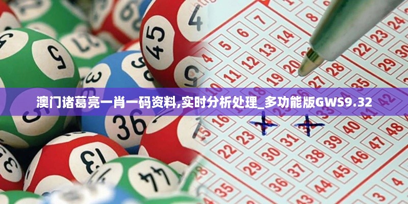 澳门诸葛亮一肖一码资料,实时分析处理_多功能版GWS9.32