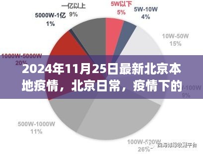 北京疫情下的温暖瞬间与友情纽带，最新本地疫情报道（2024年11月25日）