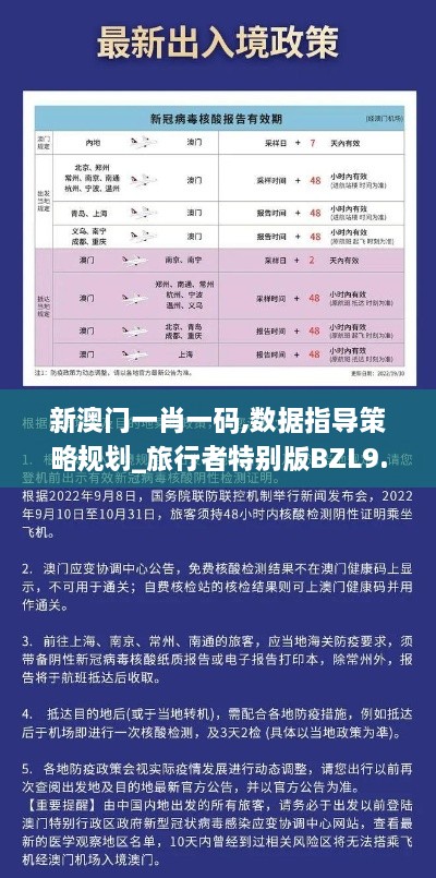新澳门一肖一码,数据指导策略规划_旅行者特别版BZL9.2