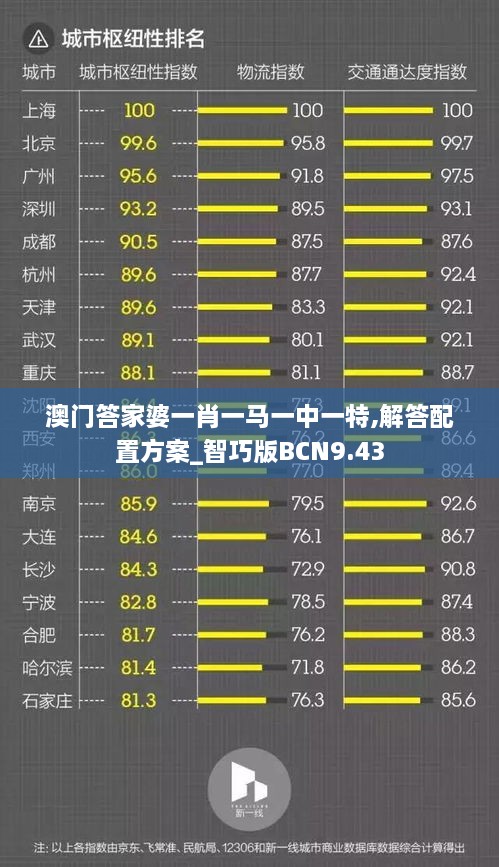 澳门答家婆一肖一马一中一特,解答配置方案_智巧版BCN9.43