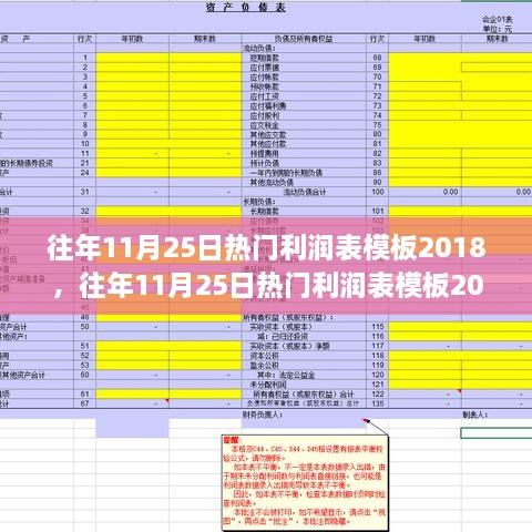 往年11月25日热门利润表模板深度评测与介绍，2018版概览