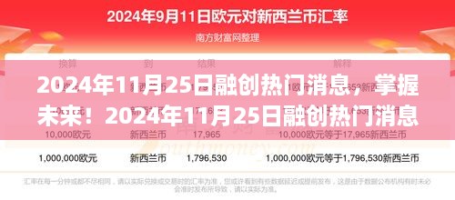 2024年11月25日融创热门消息全解析，从入门到进阶的实用指南