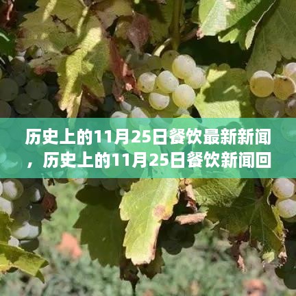 历史上的11月25日餐饮新闻回顾与最新动态，入门指南