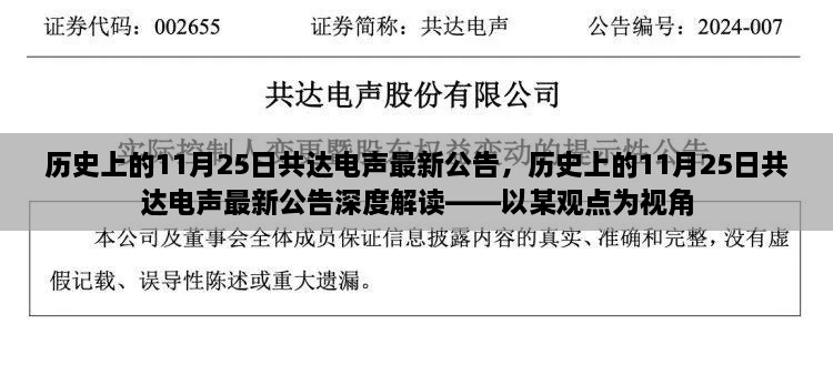 历史上的11月25日共达电声最新公告深度解读，某视角下的观察与分析