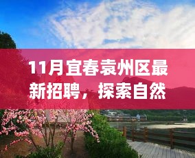 宜春袁州区最新招聘启事，探索自然美景之旅，寻找内心的宁静与平和