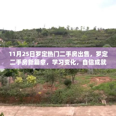 森久 第33页