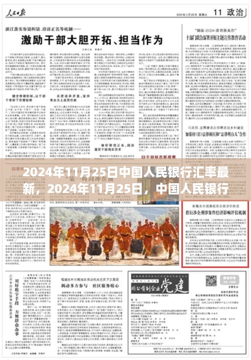 2024年11月25日中国人民银行汇率更新，动态变化中的学习成就财富自信
