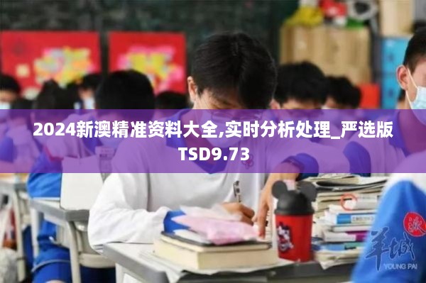 2024新澳精准资料大全,实时分析处理_严选版TSD9.73
