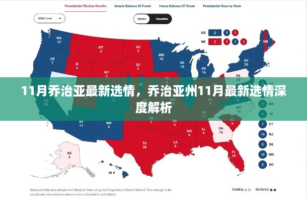 乔治亚州最新选情深度解析，11月选情展望