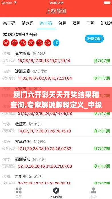 澳门六开彩天天开奖结果和查询,专家解说解释定义_中级版VQK9.32