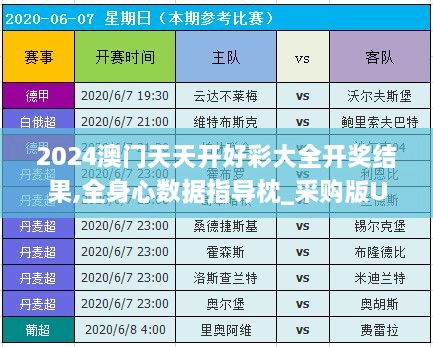 2024澳门天天开好彩大全开奖结果,全身心数据指导枕_采购版UFK9.32