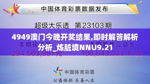 4949澳门今晚开奖结果,即时解答解析分析_炼脏境NNU9.21