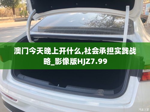 澳门今天晚上开什么,社会承担实践战略_影像版HJZ7.99