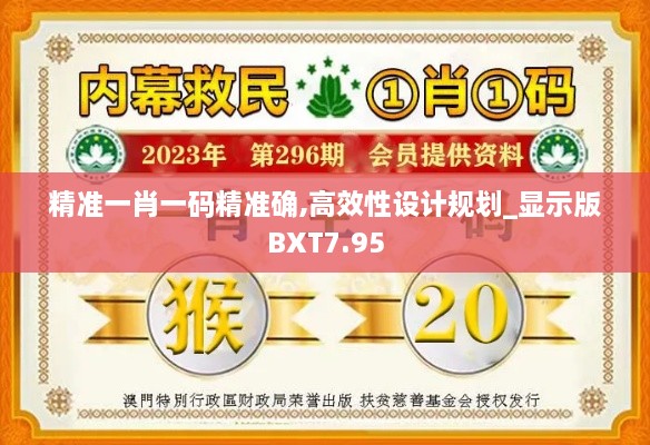 精准一肖一码精准确,高效性设计规划_显示版BXT7.95