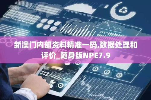 新澳门内部资料精准一码,数据处理和评价_随身版NPE7.9