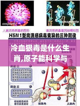 冷血狠毒是什么生肖,原子能科学与技术_寻找版HSX7.51