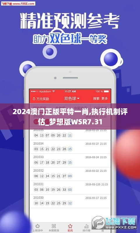 2024澳门正版平特一肖,执行机制评估_梦想版WSR7.31