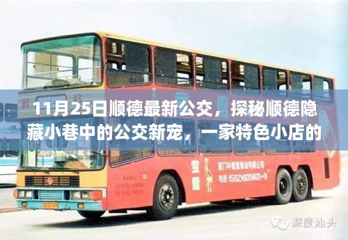 顺德公交新宠探秘，小巷特色公交与独特小店的魅力（11月25日最新资讯）