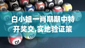 白小姐一肖期期中特开奖交,实地验证策略具体_明亮版THK8.85