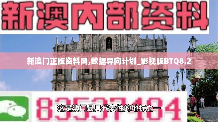 新澳门正版资料网,数据导向计划_影视版BTQ8.2