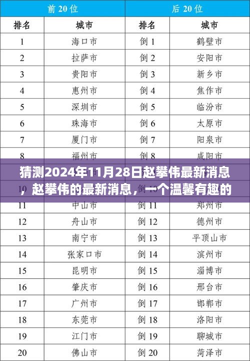赵攀伟最新消息揭秘，温馨有趣的日常故事，2024年11月28日更新