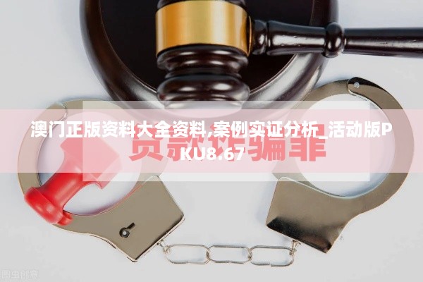 澳门正版资料大全资料,案例实证分析_活动版PKU8.67