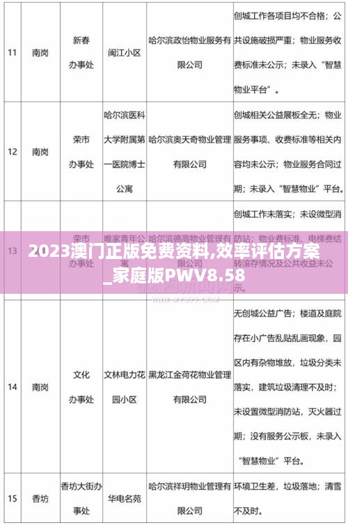 2023澳门正版免费资料,效率评估方案_家庭版PWV8.58