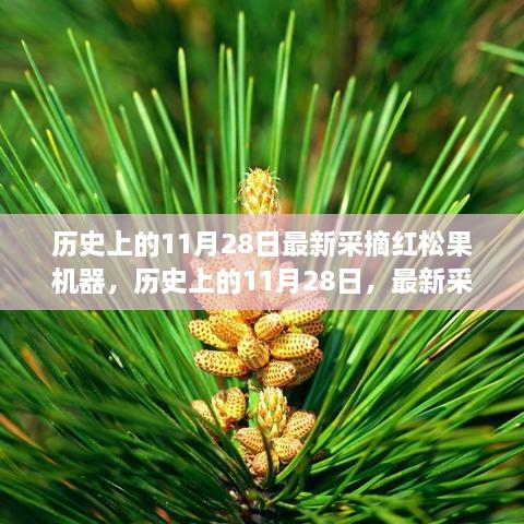 橘虞初梦 第24页