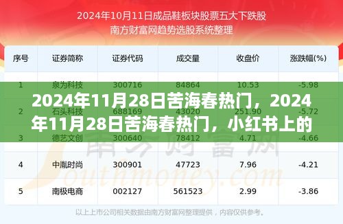 小红书时尚潮流的独特体验，苦海春热门在2024年11月28日持续火热