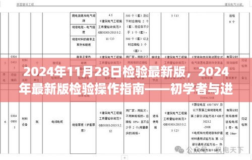 2024年最新版检验操作指南，适用于初学者与进阶用户的通用指南（2024年11月28日检验最新版）
