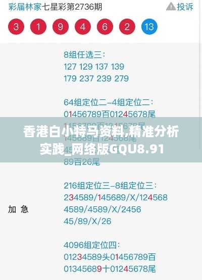 香港白小特马资料,精准分析实践_网络版GQU8.91